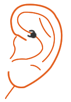 Rook Piercing fürs Ohr